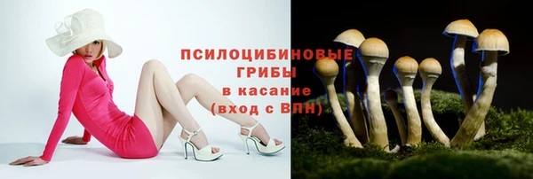 mdpv Богородицк