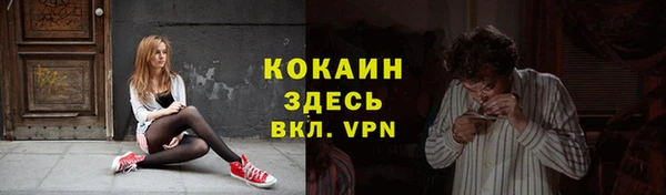бошки Белокуриха