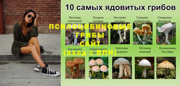 каннабис Богородск
