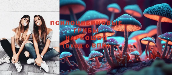 apvp Богданович