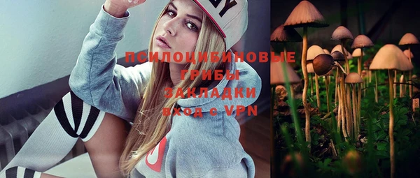apvp Богданович