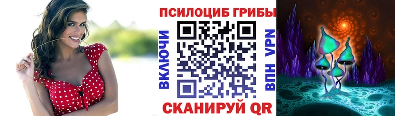 OMG вход  Бутурлиновка  Псилоцибиновые грибы Magic Shrooms 