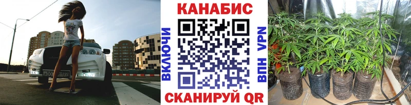 Бошки Шишки планчик  hydra ССЫЛКА  Бутурлиновка  площадка наркотические препараты  как найти наркотики 